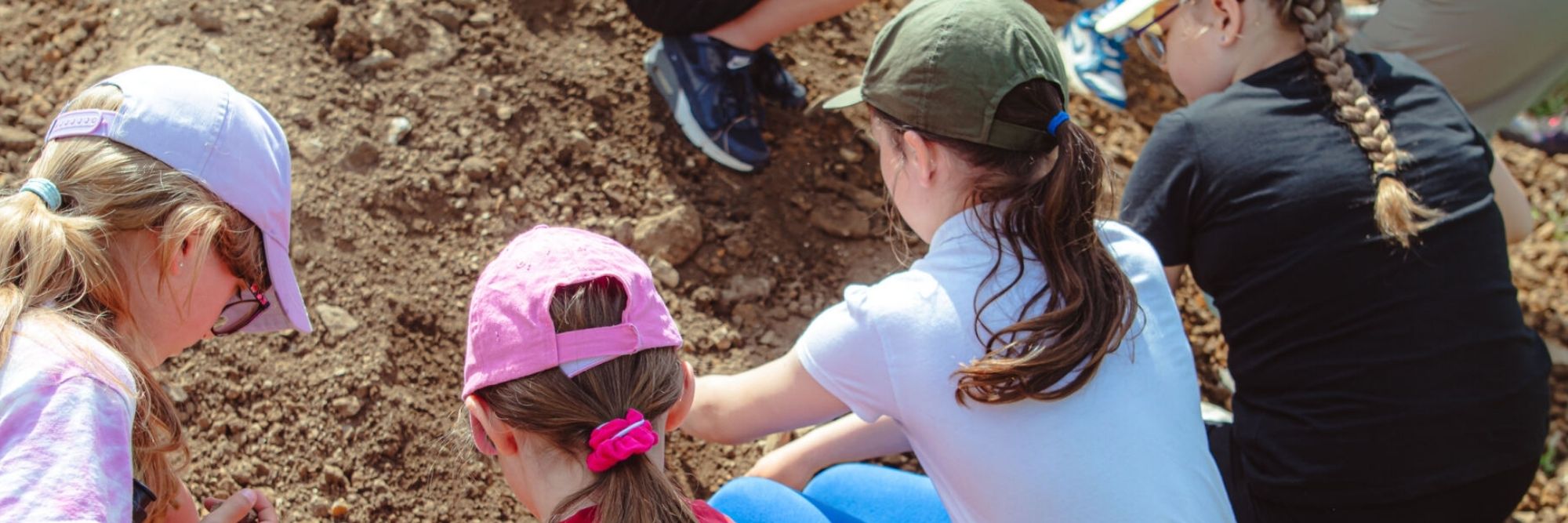 Website Image Banner