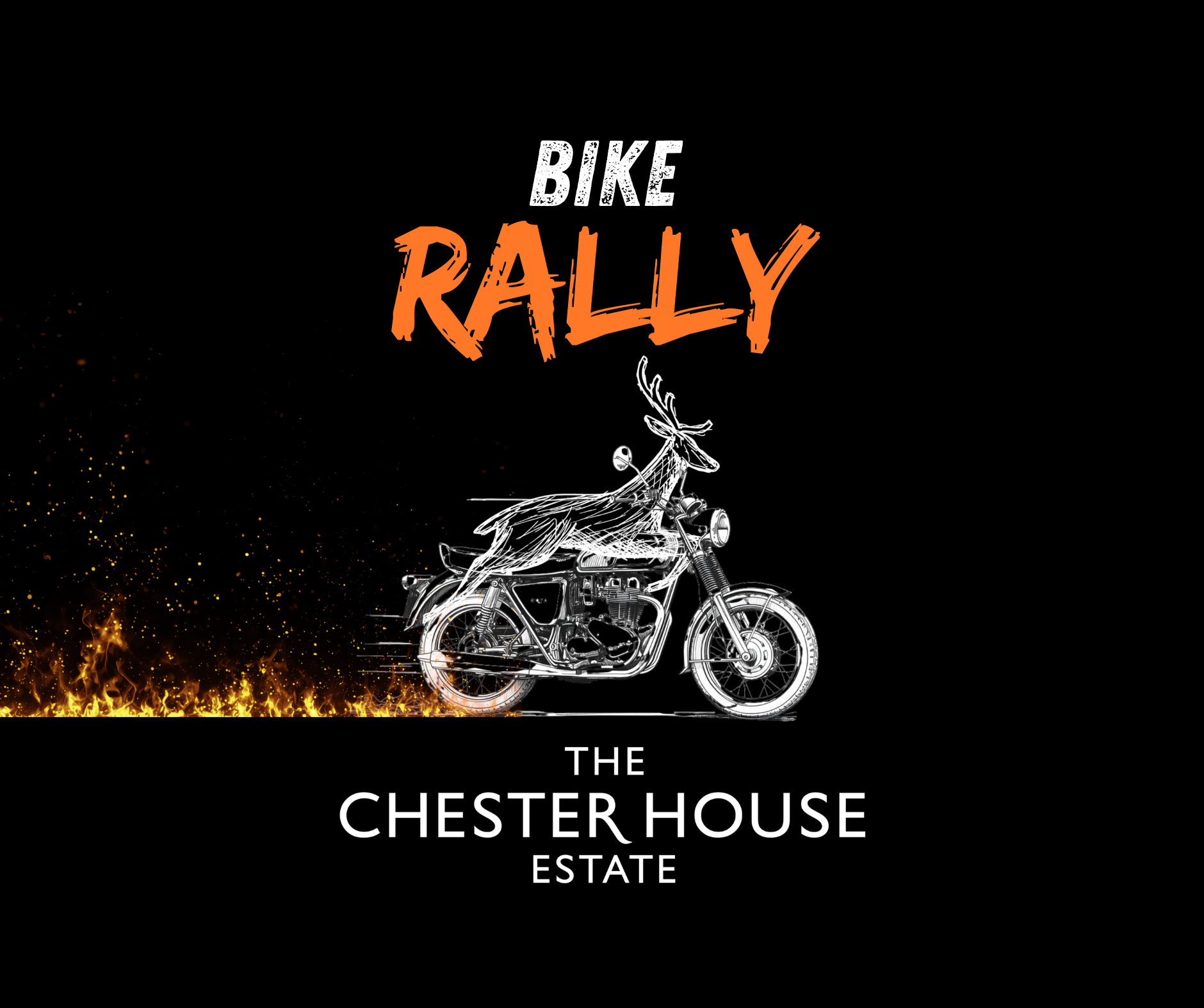 Websitedigitickets Images (14)