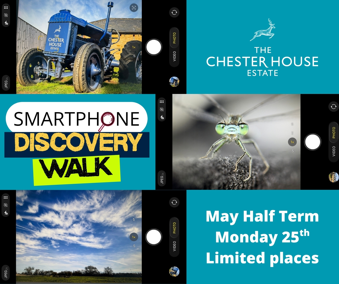 Websitedigitickets Images (5)