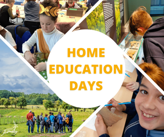 6Ec585c1 495D 4A69 87C9 0E889ebd2d3a