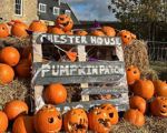 Pumpkin Patch Che