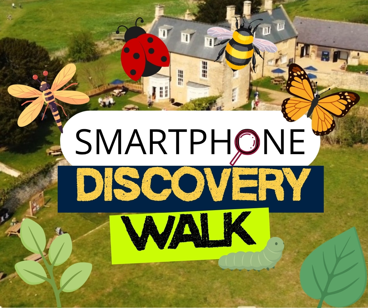 Websitedigitickets Images (4)